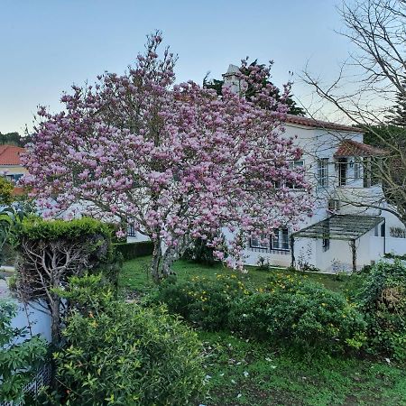 Comfy Sintra Bed and Breakfast Esterno foto