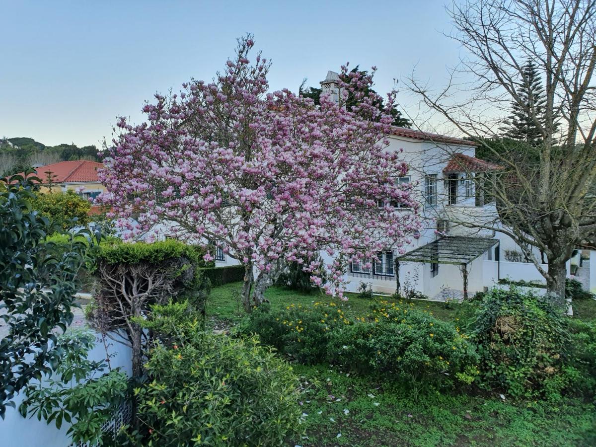 Comfy Sintra Bed and Breakfast Esterno foto