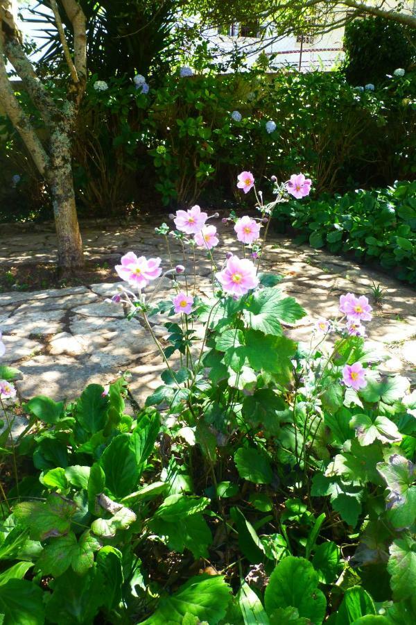 Bed and Breakfast Comfy Sintra Esterno foto