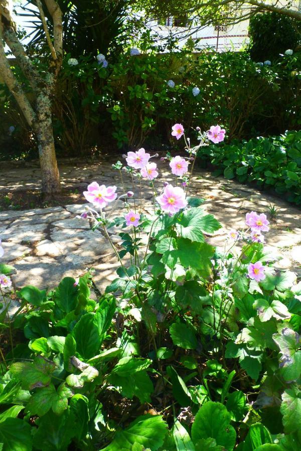 Comfy Sintra Bed and Breakfast Esterno foto