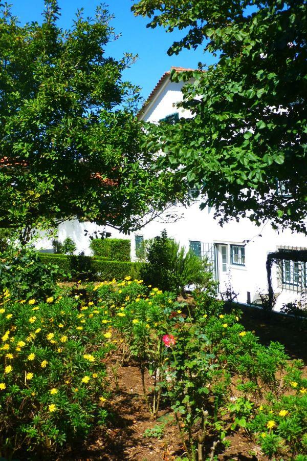 Bed and Breakfast Comfy Sintra Esterno foto